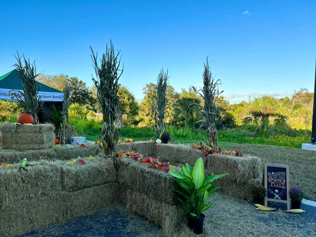 The TD Bank Hay Maze Mayhem 🎃