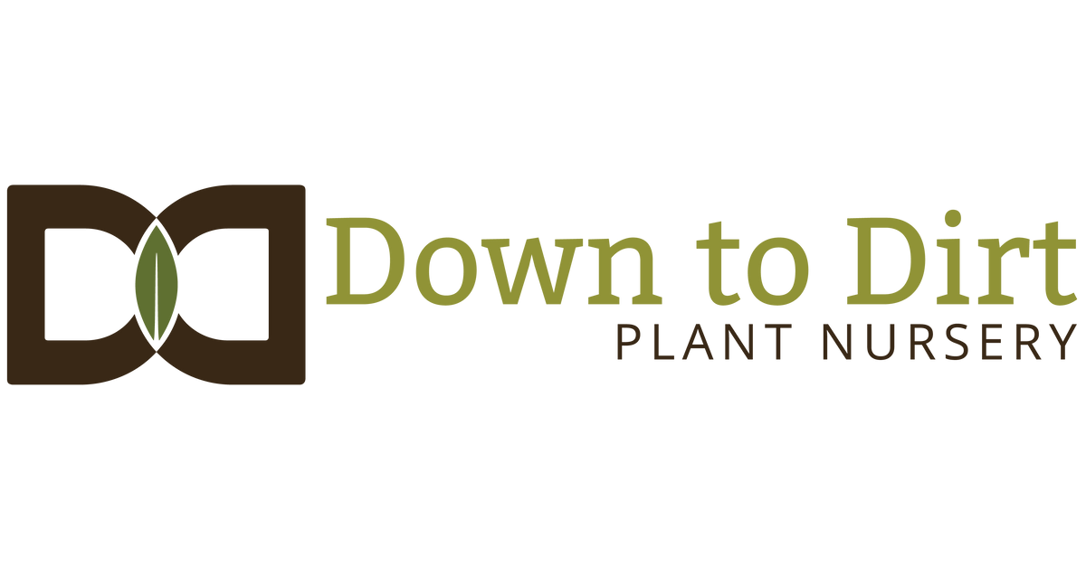Down to Dirt Plants