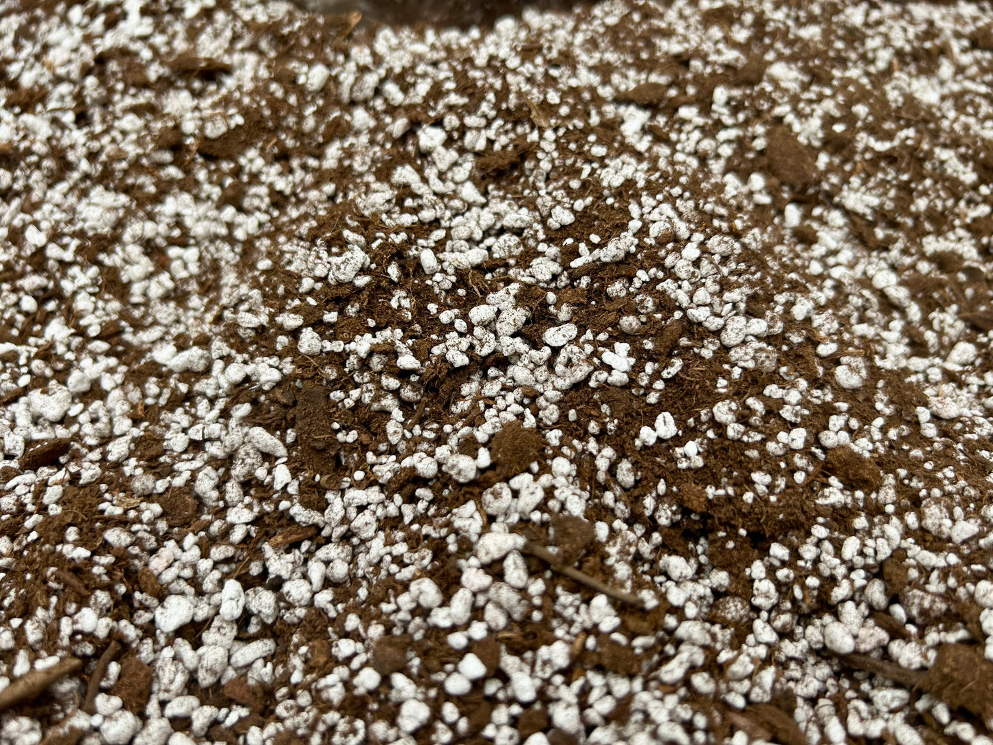 Carnivorous Soil Mix
