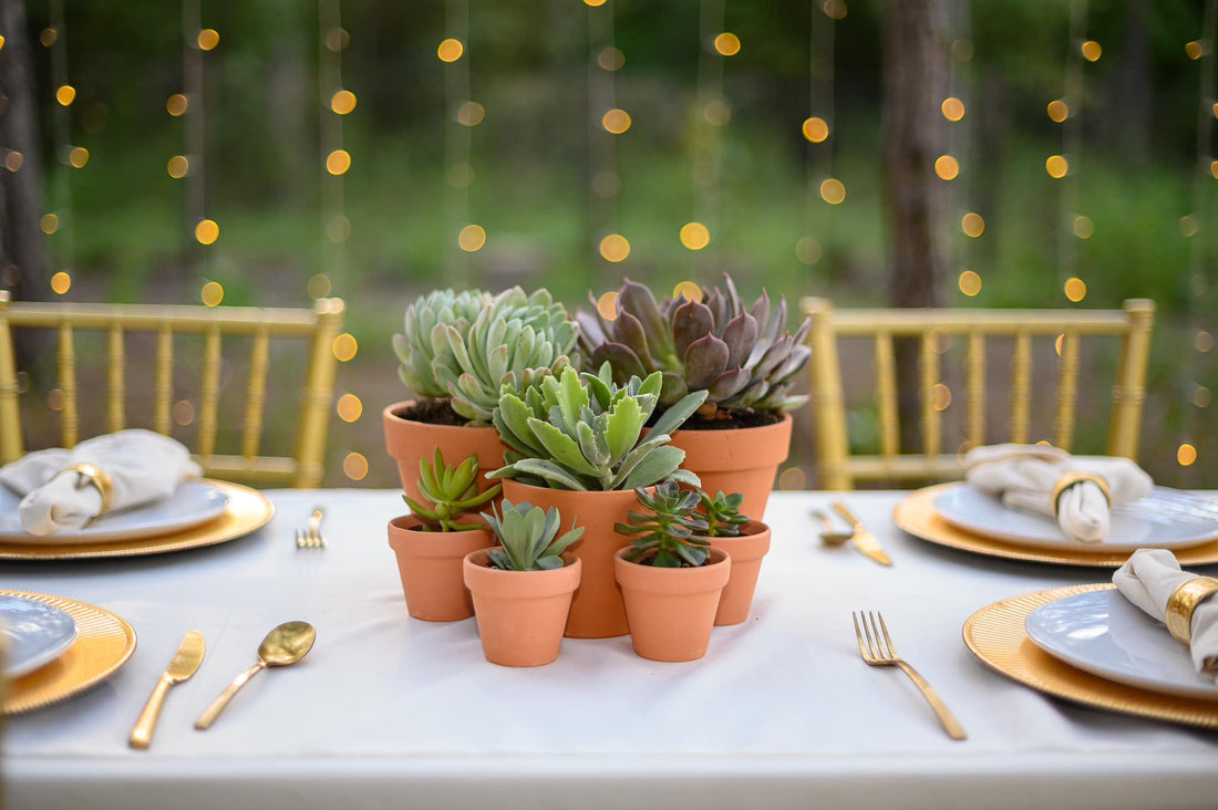 Succulent Dreams: The Perfect Wedding Centerpieces