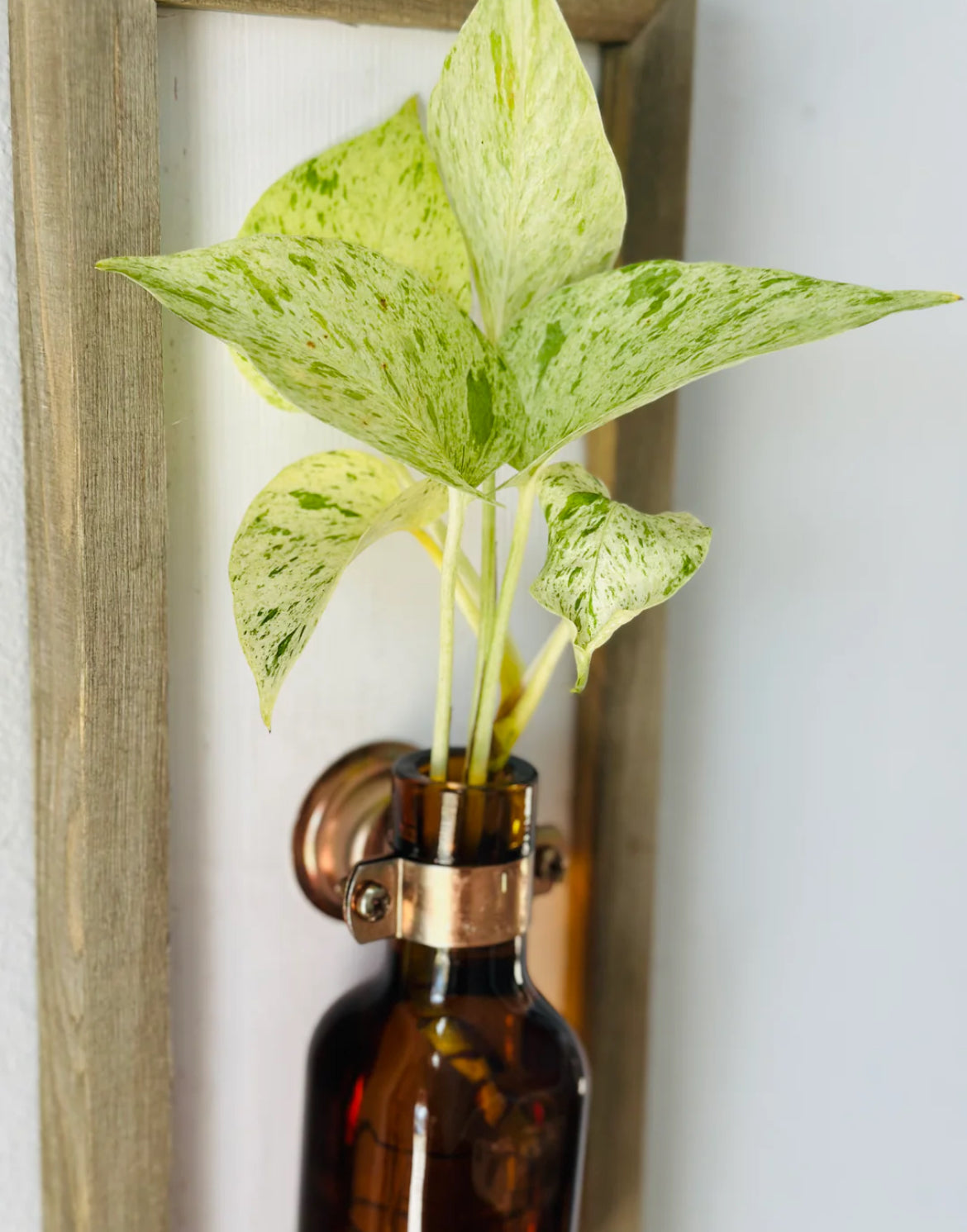 Wooden Frame - Propagation Station