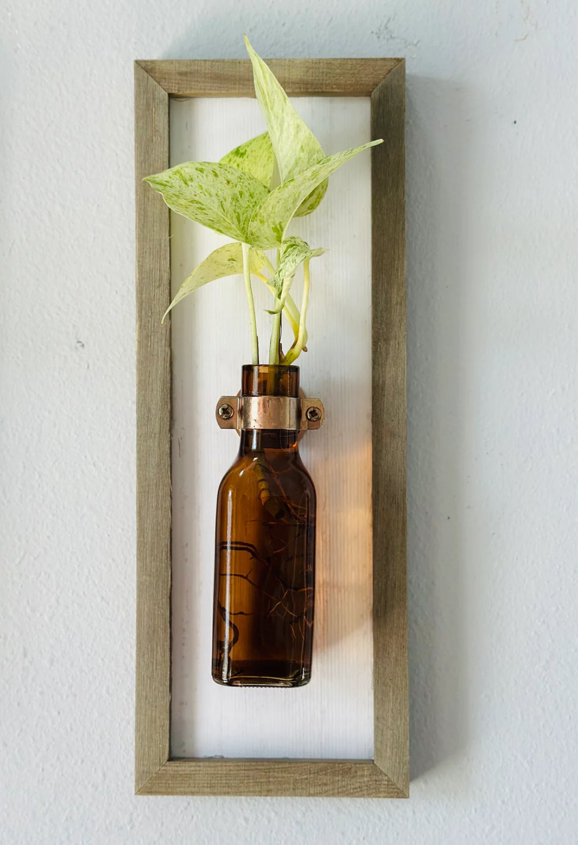 Wooden Frame - Propagation Station